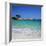 Palombaggia Beach, Near Porto Vecchio, South East Corsica, Corsica, France, Mediterranean, Europe-Stuart Black-Framed Photographic Print