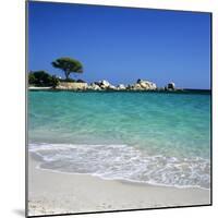 Palombaggia Beach, Near Porto Vecchio, South East Corsica, Corsica, France, Mediterranean, Europe-Stuart Black-Mounted Photographic Print