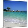 Palombaggia Beach, Near Porto Vecchio, South East Corsica, Corsica, France, Mediterranean, Europe-Stuart Black-Mounted Photographic Print