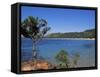 Palombaggia Beach, Porto Vecchio, Corsica, France, Mediterranean-John Miller-Framed Stretched Canvas