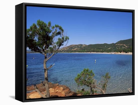 Palombaggia Beach, Porto Vecchio, Corsica, France, Mediterranean-John Miller-Framed Stretched Canvas