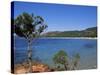 Palombaggia Beach, Porto Vecchio, Corsica, France, Mediterranean-John Miller-Stretched Canvas