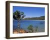 Palombaggia Beach, Porto Vecchio, Corsica, France, Mediterranean-John Miller-Framed Photographic Print