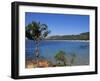 Palombaggia Beach, Porto Vecchio, Corsica, France, Mediterranean-John Miller-Framed Photographic Print