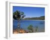 Palombaggia Beach, Porto Vecchio, Corsica, France, Mediterranean-John Miller-Framed Photographic Print