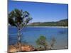 Palombaggia Beach, Porto Vecchio, Corsica, France, Mediterranean-John Miller-Mounted Photographic Print