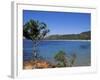 Palombaggia Beach, Porto Vecchio, Corsica, France, Mediterranean-John Miller-Framed Photographic Print