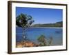 Palombaggia Beach, Porto Vecchio, Corsica, France, Mediterranean-John Miller-Framed Photographic Print