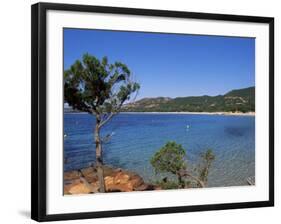 Palombaggia Beach, Porto Vecchio, Corsica, France, Mediterranean-John Miller-Framed Photographic Print