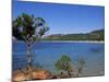 Palombaggia Beach, Porto Vecchio, Corsica, France, Mediterranean-John Miller-Mounted Photographic Print