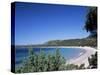 Palombaggia Beach, Porto Vecchio, Corsica, France, Mediterranean-John Miller-Stretched Canvas