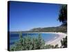 Palombaggia Beach, Porto Vecchio, Corsica, France, Mediterranean-John Miller-Stretched Canvas