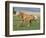 Palomino Stallion Running in Field, Longmont, Colorado, USA-Carol Walker-Framed Photographic Print