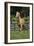 Palomino Warmbloods 013-Bob Langrish-Framed Photographic Print