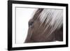 Palomino-Chris Dunker-Framed Giclee Print