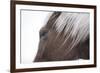 Palomino-Chris Dunker-Framed Giclee Print