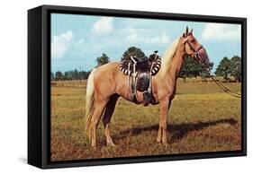 Palomino-null-Framed Stretched Canvas