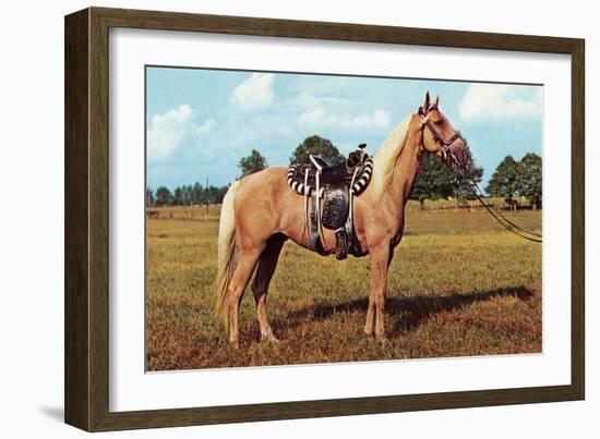 Palomino-null-Framed Art Print