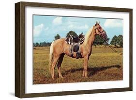 Palomino-null-Framed Art Print