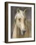 Palomino-Danhui Nai-Framed Art Print