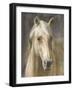 Palomino-Danhui Nai-Framed Art Print