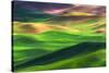 Palouse 1-Ursula Abresch-Stretched Canvas