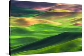 Palouse 1-Ursula Abresch-Stretched Canvas