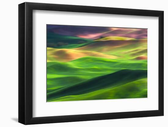 Palouse 1-Ursula Abresch-Framed Premium Photographic Print