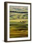 Palouse #27-Dale O’Dell-Framed Photographic Print