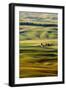 Palouse #27-Dale O’Dell-Framed Photographic Print