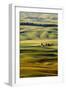 Palouse #27-Dale O’Dell-Framed Photographic Print