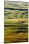 Palouse #27-Dale O’Dell-Mounted Photographic Print