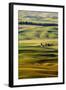 Palouse #27-Dale O’Dell-Framed Photographic Print
