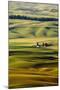 Palouse #27-Dale O’Dell-Mounted Photographic Print