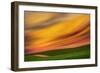 Palouse Abstract 2-Ursula Abresch-Framed Photographic Print