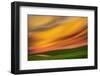 Palouse Abstract 2-Ursula Abresch-Framed Photographic Print