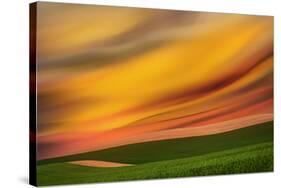 Palouse Abstract 2-Ursula Abresch-Stretched Canvas