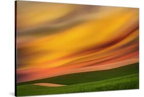 Palouse Abstract 2-Ursula Abresch-Stretched Canvas