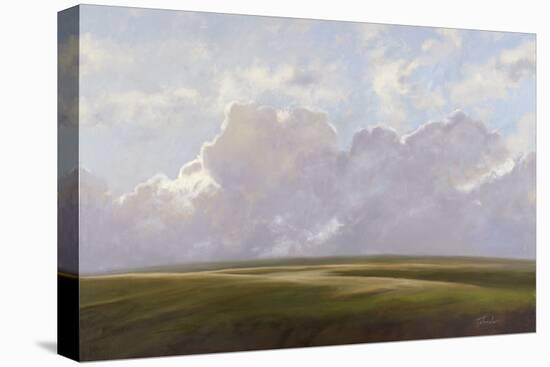 Palouse Afternoon-Todd Telander-Stretched Canvas