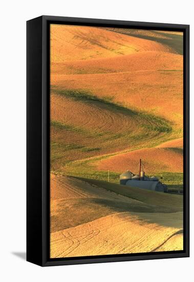 Palouse Area of Eastern Washington, USA-Stuart Westmorland-Framed Stretched Canvas