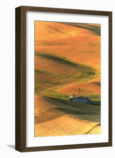 Palouse Area of Eastern Washington, USA-Stuart Westmorland-Framed Photographic Print