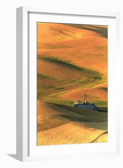 Palouse Area of Eastern Washington, USA-Stuart Westmorland-Framed Photographic Print