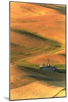 Palouse Area of Eastern Washington, USA-Stuart Westmorland-Mounted Photographic Print