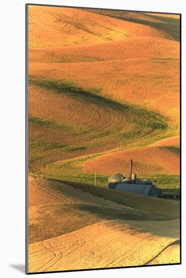 Palouse Area of Eastern Washington, USA-Stuart Westmorland-Mounted Photographic Print