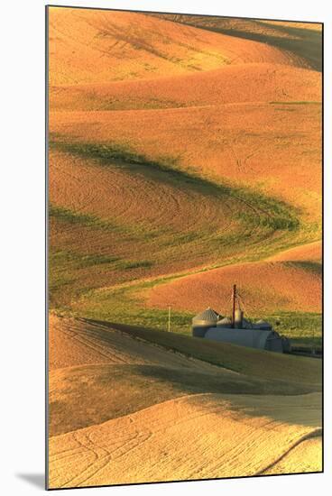 Palouse Area of Eastern Washington, USA-Stuart Westmorland-Mounted Photographic Print