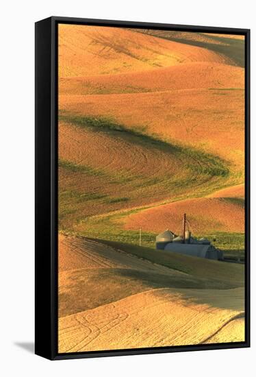 Palouse Area of Eastern Washington, USA-Stuart Westmorland-Framed Stretched Canvas