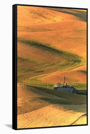 Palouse Area of Eastern Washington, USA-Stuart Westmorland-Framed Stretched Canvas