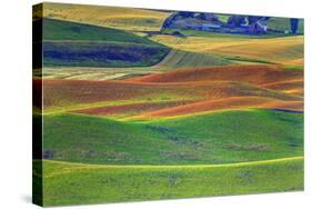 Palouse Area of Eastern Washington, USA-Stuart Westmorland-Stretched Canvas