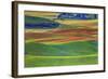 Palouse Area of Eastern Washington, USA-Stuart Westmorland-Framed Photographic Print