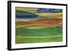 Palouse Area of Eastern Washington, USA-Stuart Westmorland-Framed Photographic Print